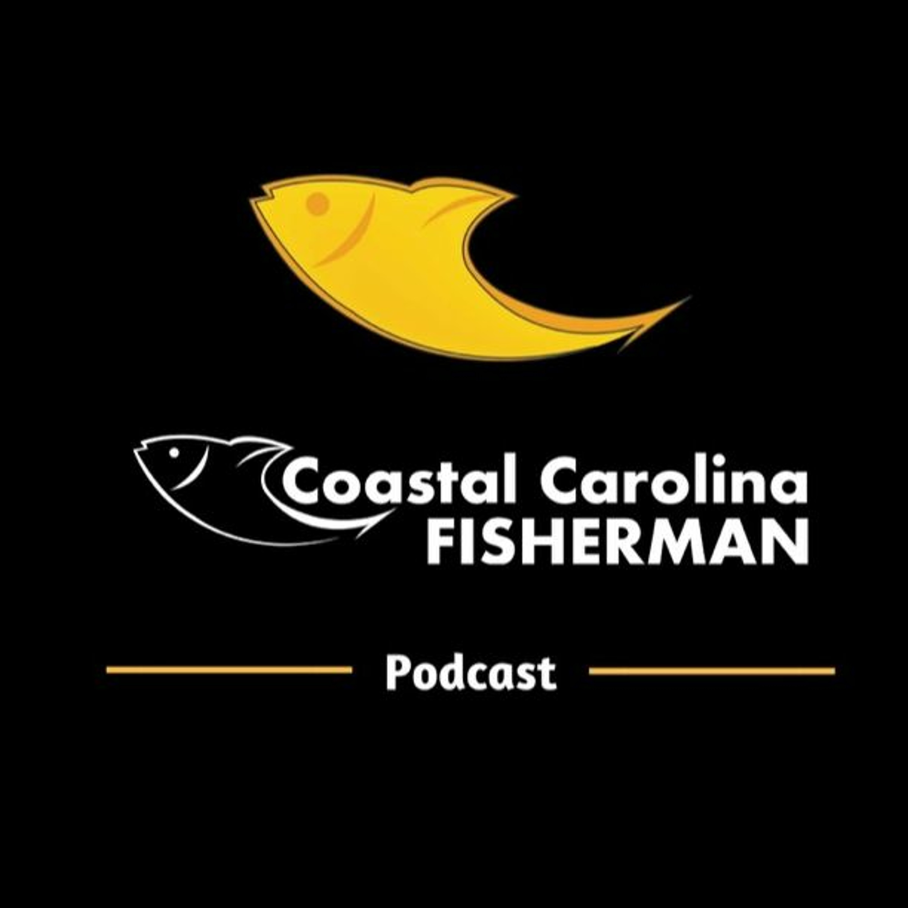 Fishing Report 6-4-20