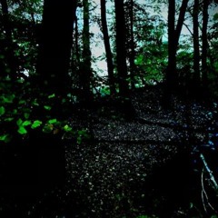 ? Am i alone in the dark (collab Paploviante)