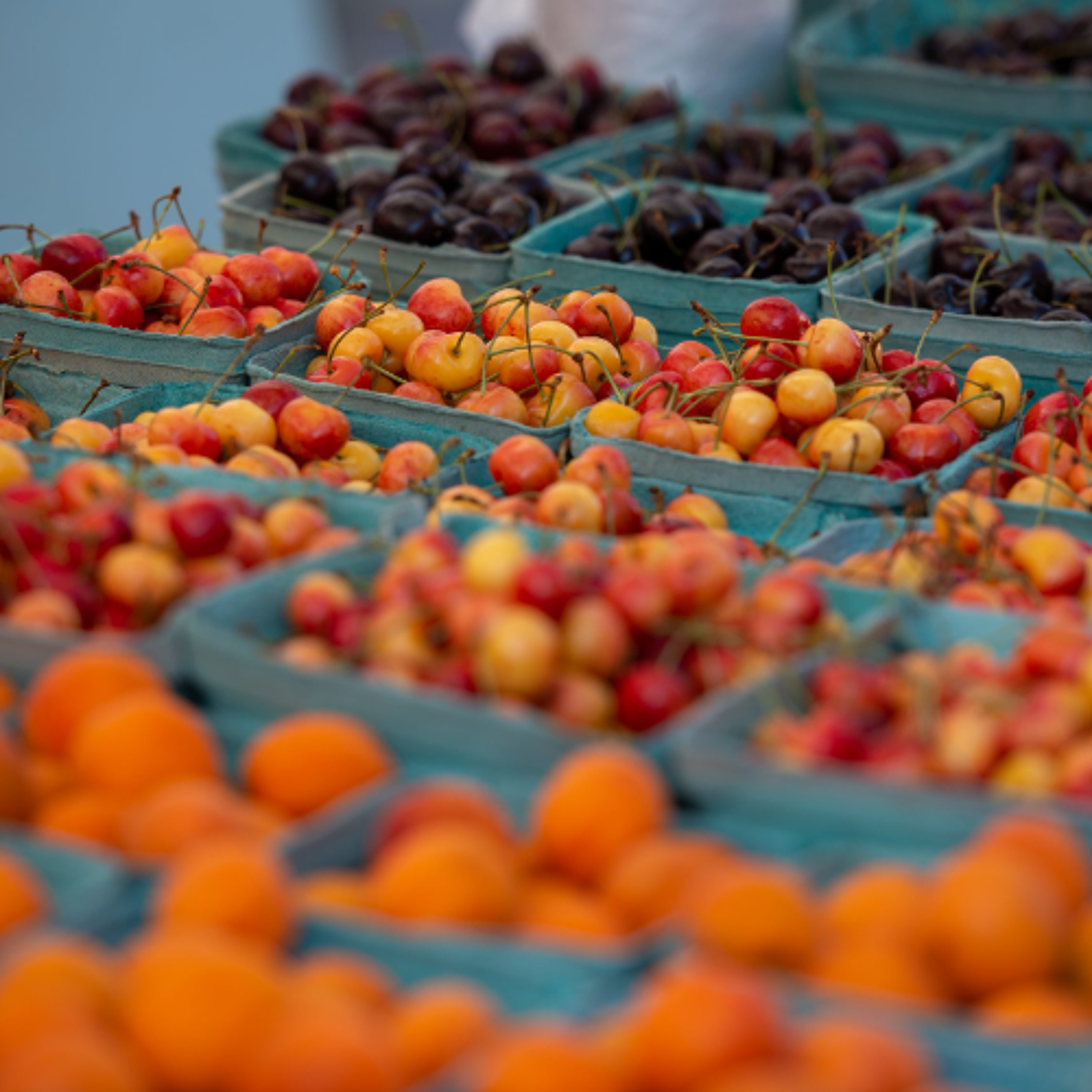 CFIA Updates Food and Animal Regulations to Support Ag Sector Growth episode artwork
