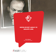 Melih Cevdet Anday ve negatif lirik