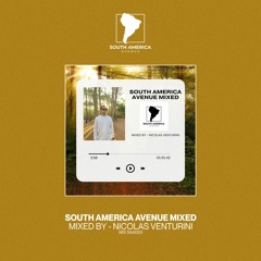 South America Avenue Mixed 003 | Nicolas Venturini