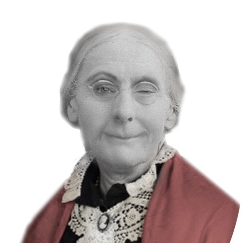 Stream Patti Hamaguchi Listen To Susan B The Musical Playlist Online