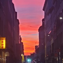 MAKO - This Will Be The Last