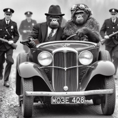 Let's Get High And Run From Police