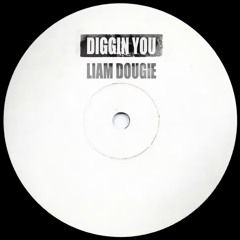 Diggin You ( FREE DOWNLOAD )