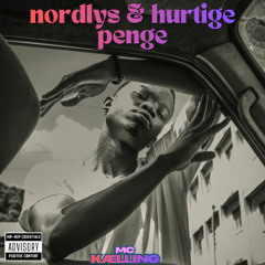 Nordlys & Hurtige Penge