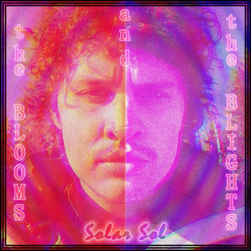 the B L O O M S and the B L I G H T S