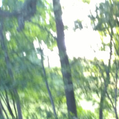 I Fall To Pieces - Patsy Cline Cover