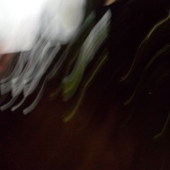Night At The Prairie