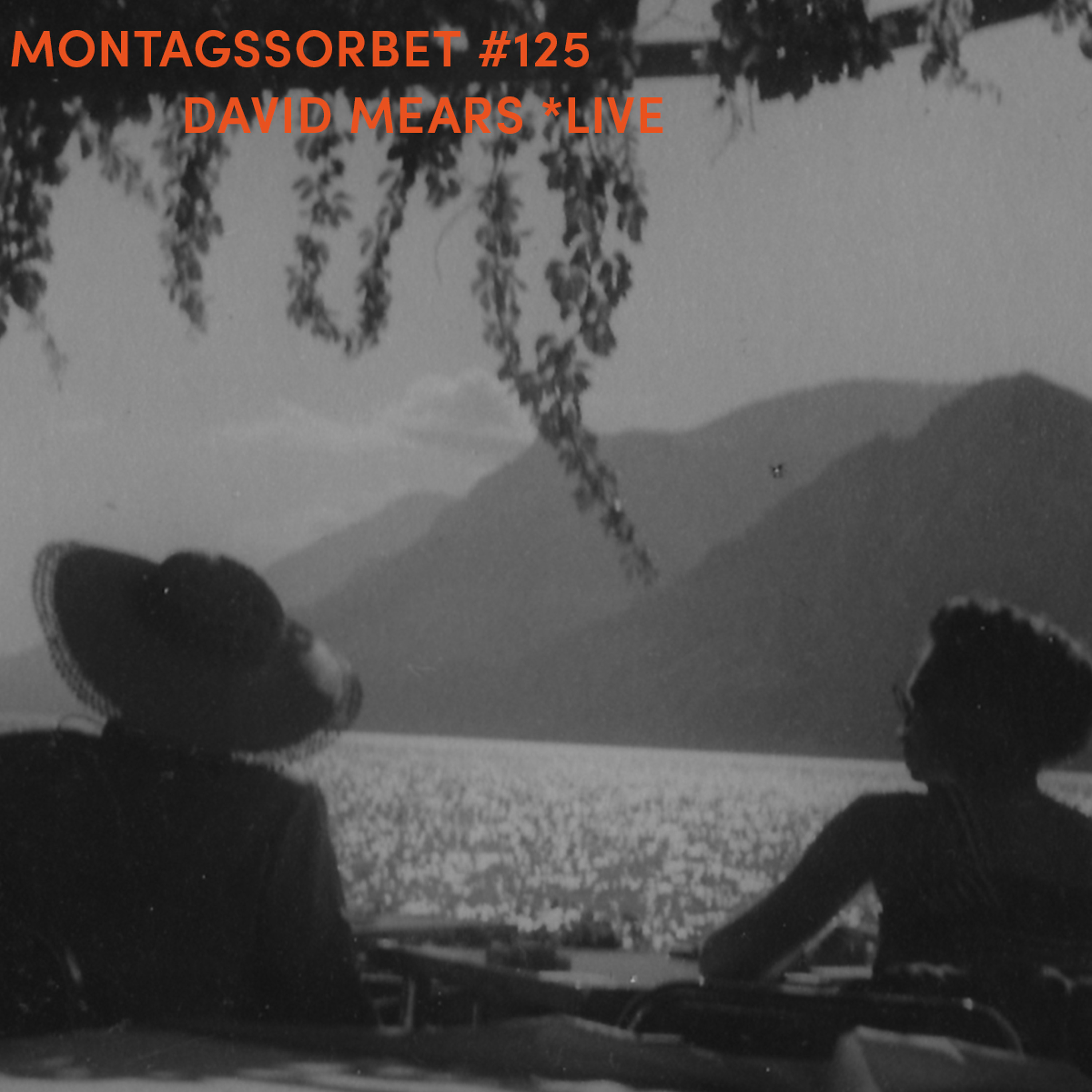 Montagssorbet mit Laut & Luise