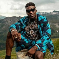 Mist Zeze Freestyle