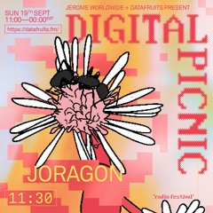 JEROME WORLDWIDE DIGITAL PICNIC - JORAGON