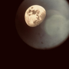 Into the moonlight