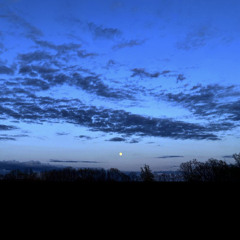 Thoughts Unspoken (Rough Recording)