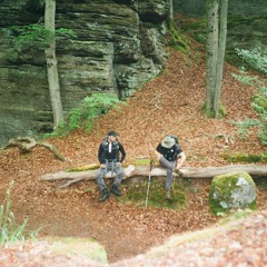 чайная лавка