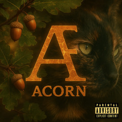ACORN PAW-ER (DETONATOR) by Æ