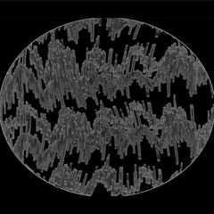 Torus Foliation