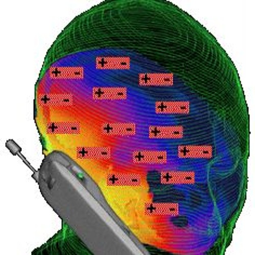 55755