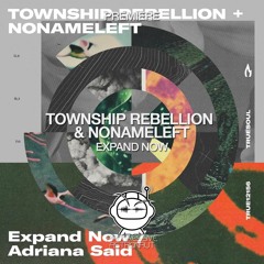 PREMIERE: Township Rebellion + NoNameLeft - Expand Now (Original Mix) [Truesoul]