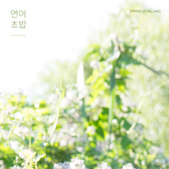 봄이 내린다