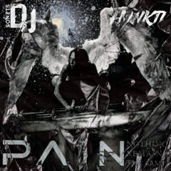 PAIN - Shout Your Mouth (Hankti & SONETS DJS Remix Radio Edit)