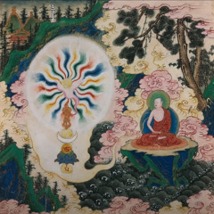 Back to the witch house