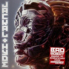 Free Download- Bad Robot Remix- DJ Edit- DJ Natural Nate VS Jiggabot- Bruise Your Body Breaks- TLA