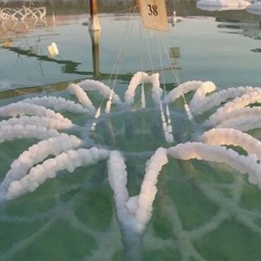 flowering (@truest33) (free to use beat)