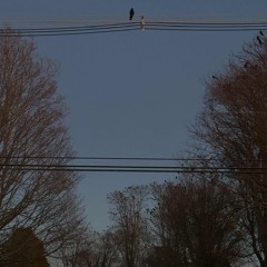 garden (juggin x SmokeyDa$loth)