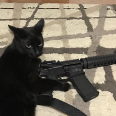 ྾E྾྾m྾ ྾F྾྾e྾྾f྾྾n྾྾a྾ś྾c྾྾i྾྾e྾