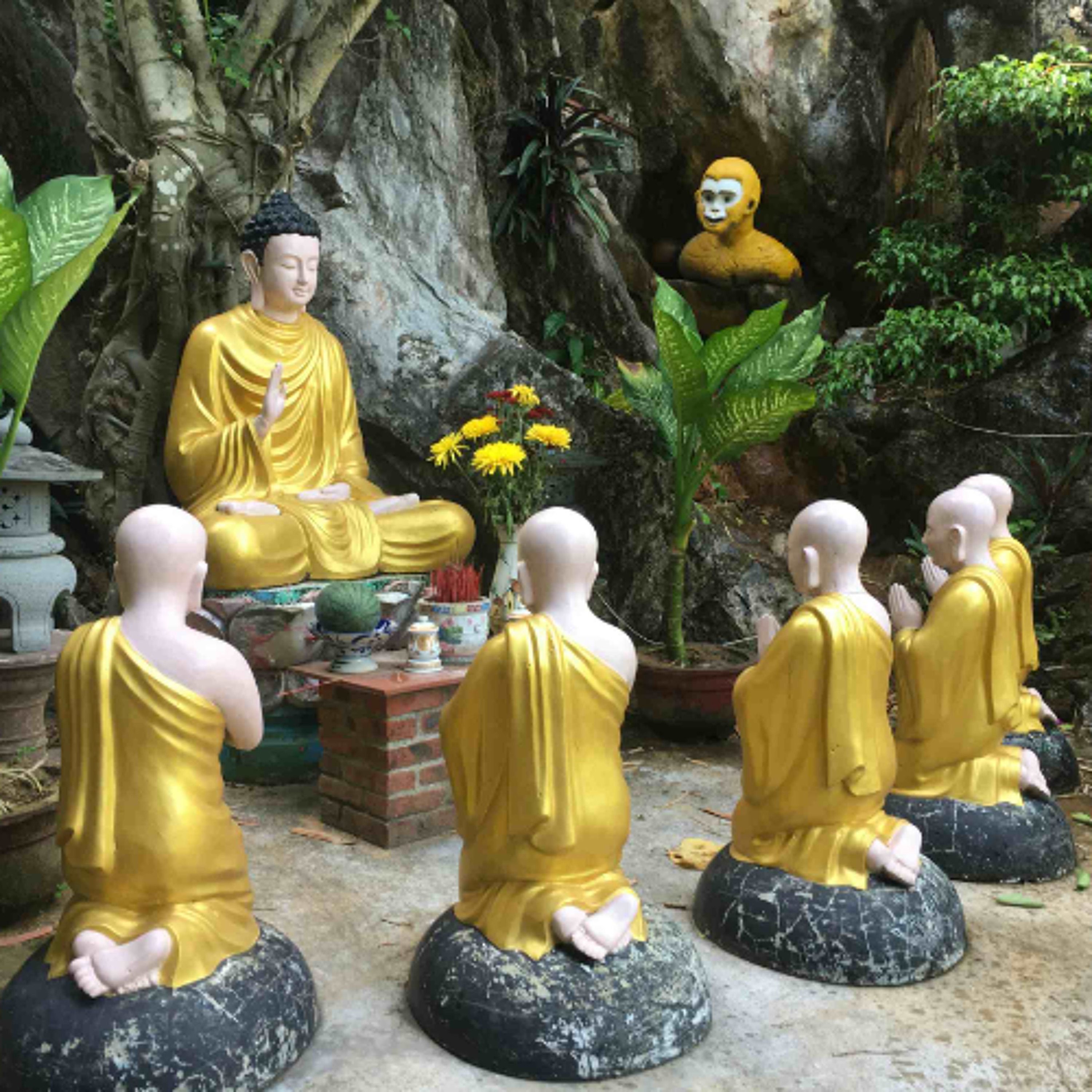 Ep. 528 Riflessioni sull'ignoranza