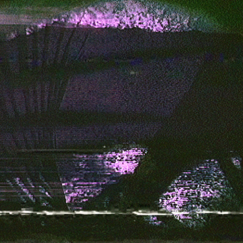 .the creek behind my first apartment.