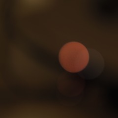 scptbl