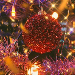 🎄 XMAS SPECIAL 🎄 "Decorated"