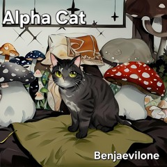 Alpha Cat