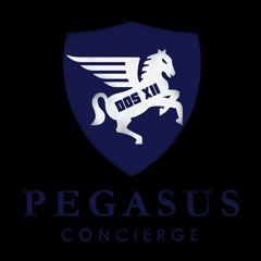 Pegasus Technostyle Management