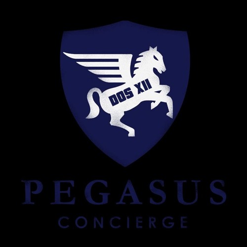 Pegasus Technostyle Management