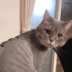 2 so0n - keshi (cover)