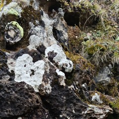 m0220 r0220 - in der Nacht auf Montag wird Nebel erwartet [...]