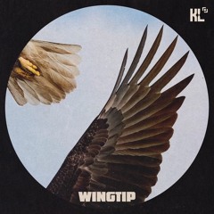 Wingtip ft. Magnus Klausen