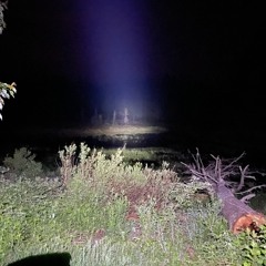 Algonquin Park - Pond near Kearney Lake - June 15 2023