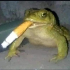 Satierf - eu te busco a meia noite e depois disso a gente foge ( Lofi Remix ) .mp3