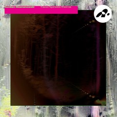 NTT007 - Kordian Nieznanowski - Thawed Psychedelic Rhizomes