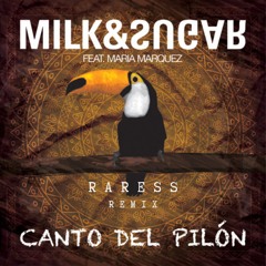 Milk & Sugar Ft. Maria Marquez - Canto Del Pilon (RARESS Remix)