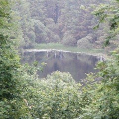 Confused (Prod. Jkjmetasco)