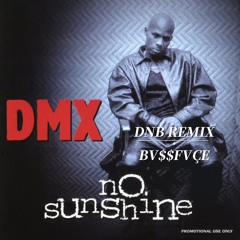 DMX - Sunshine (JIMBO DNB)