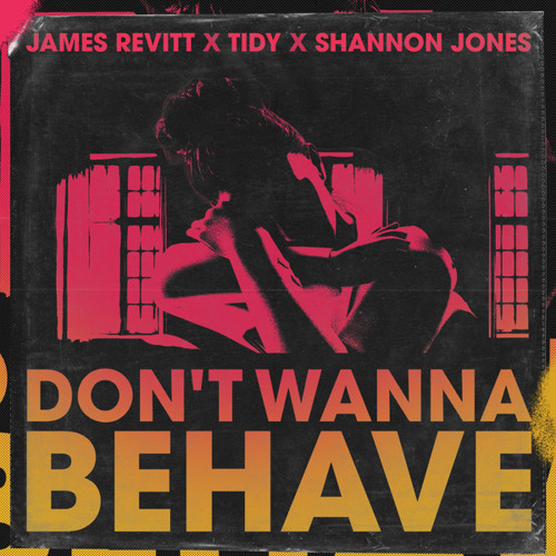 Don't Wanna Behave (Extended Mix)