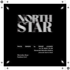 NORTH STAR by Pavol Dendis at Mercedes Benz FL23