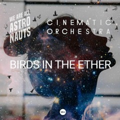 We Are All Astronauts vs Cinematic Orchestra - Birds In The Ether