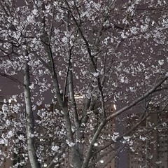 리쌍 - 헤어지지 못하는 여자, 떠나가지 못하는 남자 Remix (Feat. New jens, 이센스)